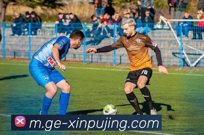 新葡京娱乐APP 封面图